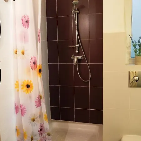 A Pet Friendly With A Rooftop Pool 加拉