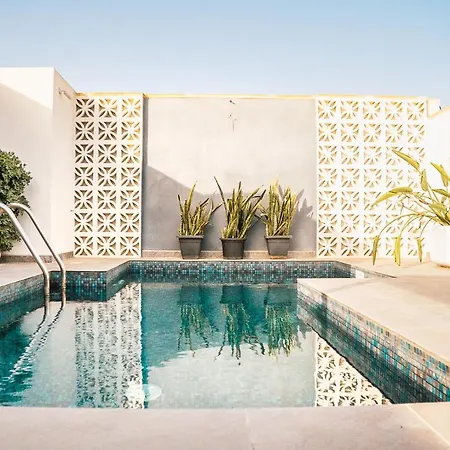 A Pet Friendly With A Rooftop Pool *