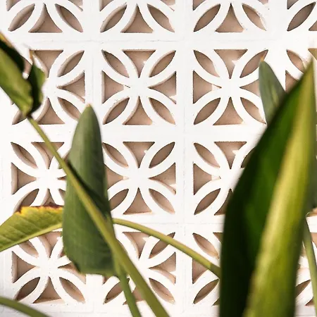 A Pet Friendly With A Rooftop Pool 别墅 *